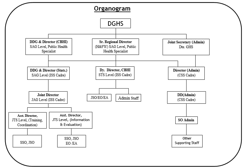 Organogram